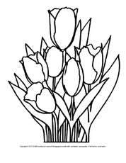 Ausmalbild-Tulpen-4.pdf